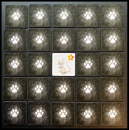Pocket Cats starting tile grid