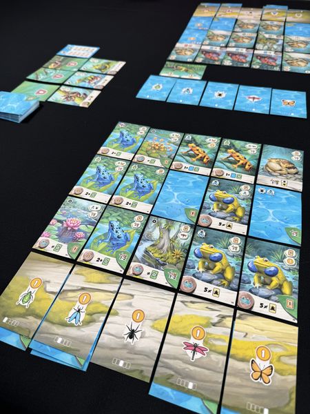 Pondscape pond cards arranged in a grid