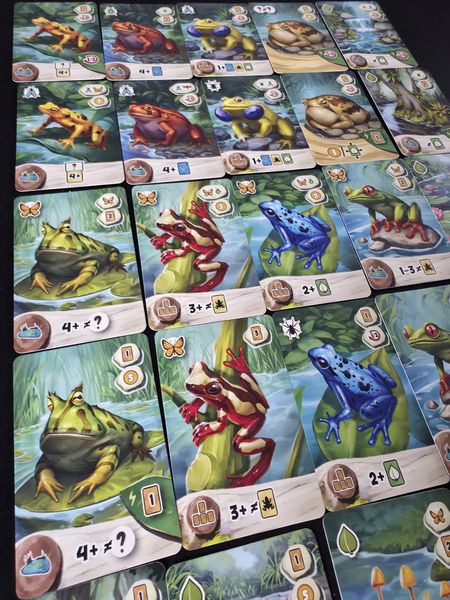 Pondscape frog cards and pond habitat