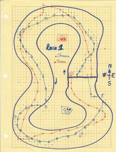 Racetrack box art