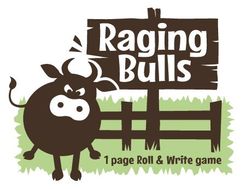 Raging Bulls box art