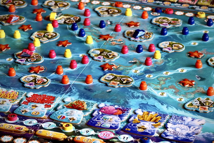Reef Project main board and pieces