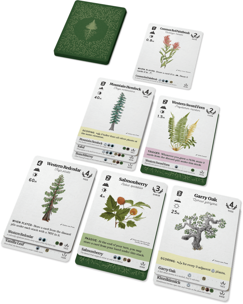 Reforest player tableau with layered plant cards