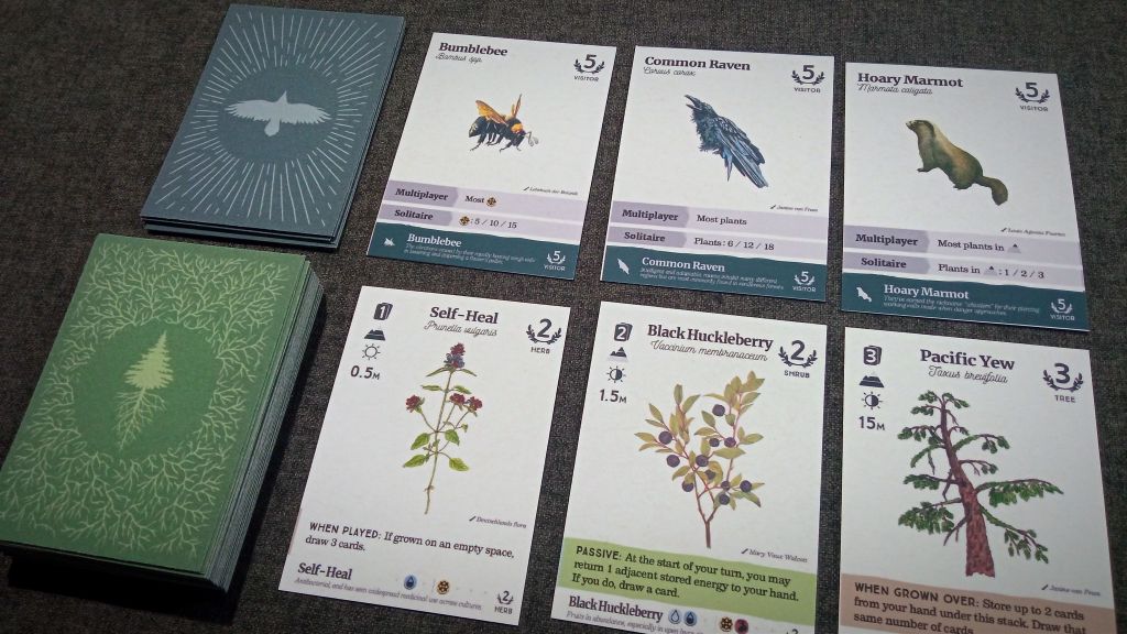 Reforest visitor cards and face-up plant nursery