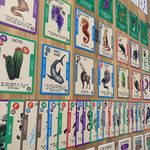 Spread of Reincardnated being cards