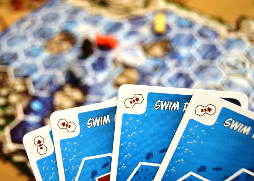 Salmon Run player hand of movement cards