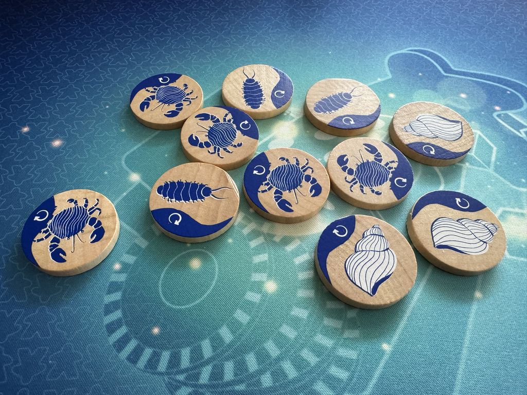 Seaside wooden tokens during a game