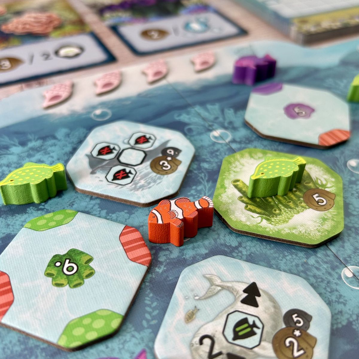 Shallow Sea board game components arranged together