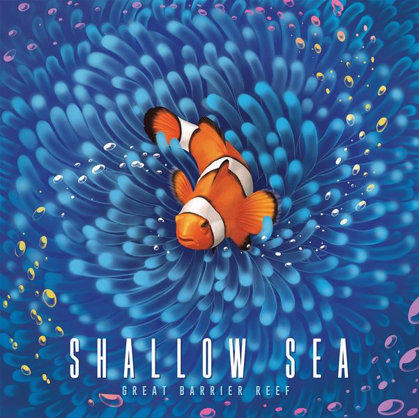 Shallow Sea box art