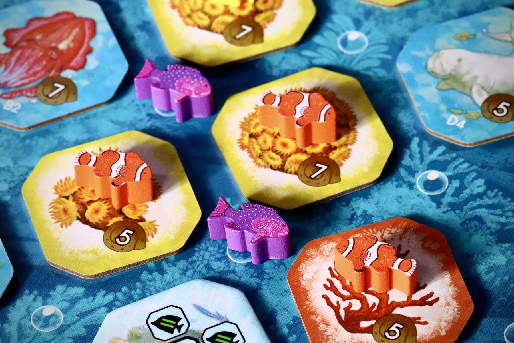 Shallow Sea player reef tableau during play