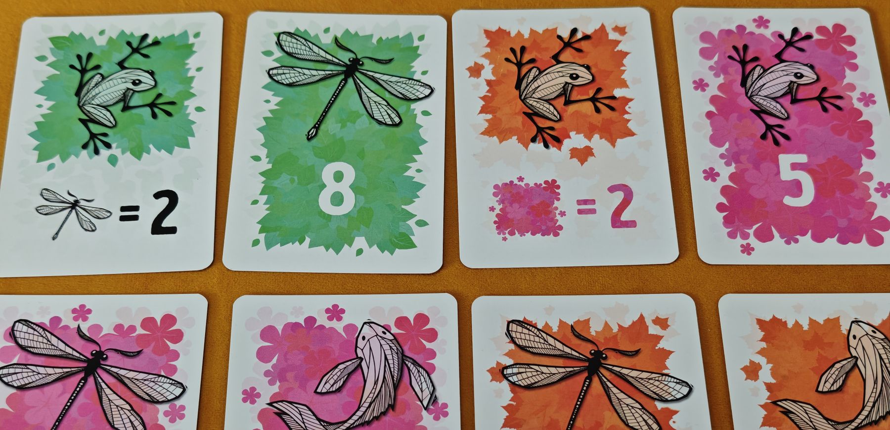Animal and habitat cards from Symbiosis