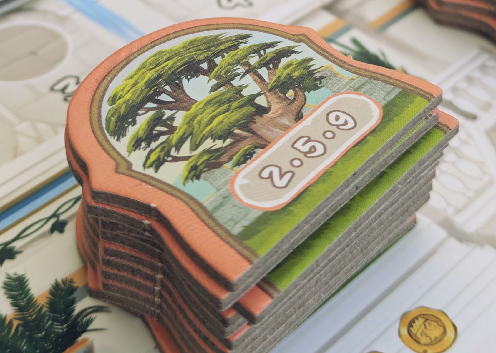 Close-up of The Hanging Gardens cards and components
