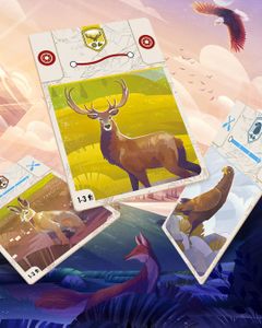 The Peak Team supply and wildlife cards