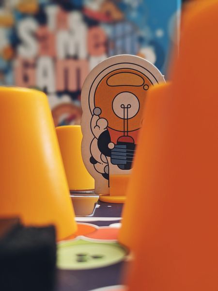 The Same Game board game components