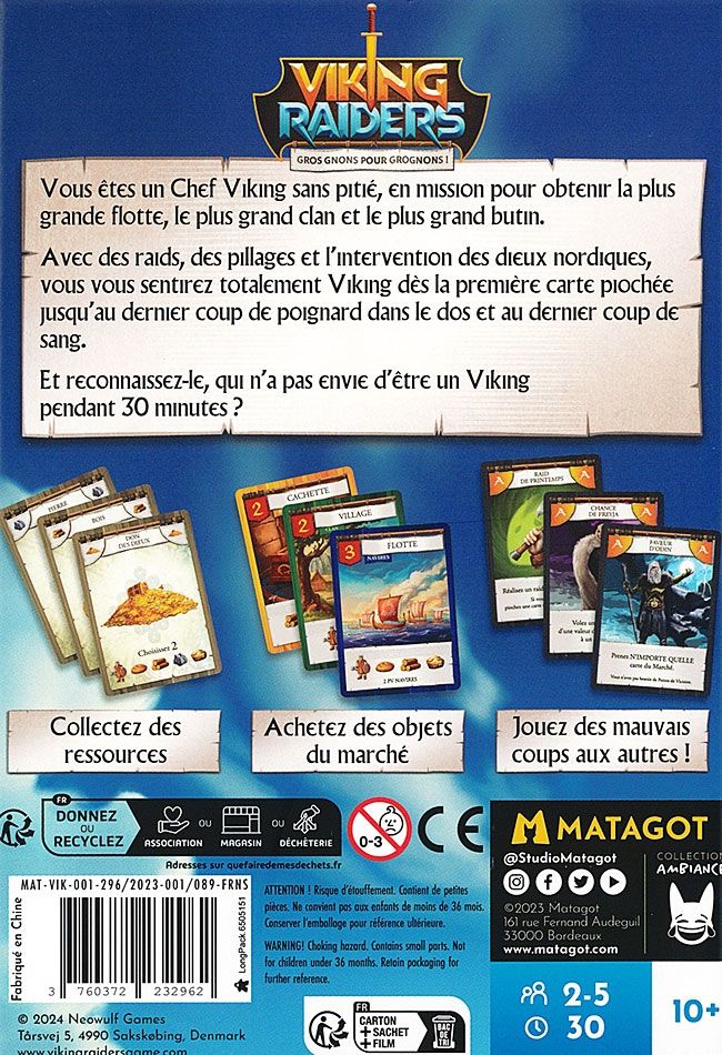 Viking Raiders illustrated cards and components