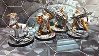 Painted Storm of Celestus miniatures