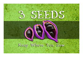 3 Seeds: Reap Where You Sow box art