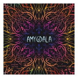 Amygdala box art