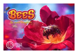 Bees: The Secret Kingdom box art