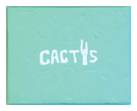 Cactus box art