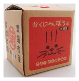 Cat Hiding box art