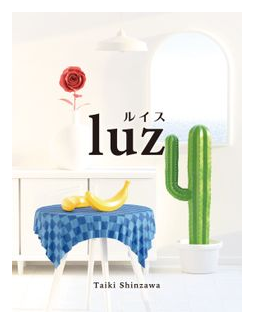 Luz box art