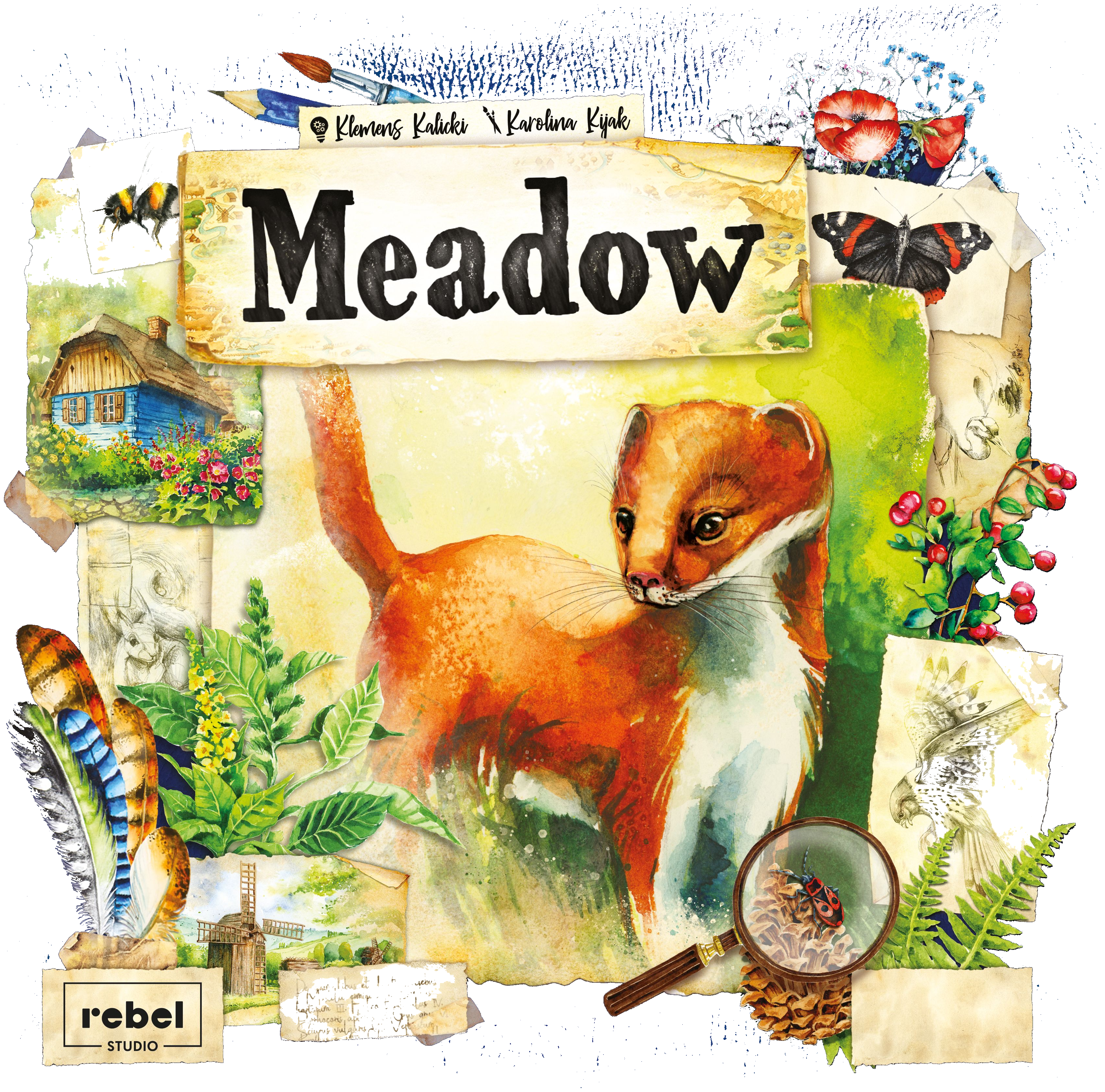 Meadow box art