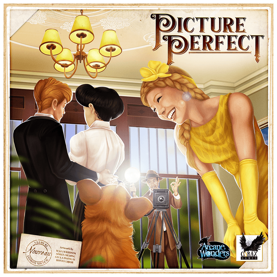 Picture Perfect box art