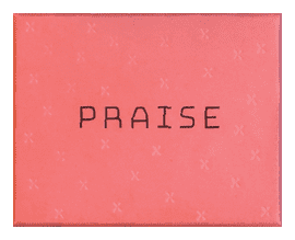 Praise box art