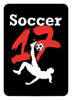 Soccer 17 box art