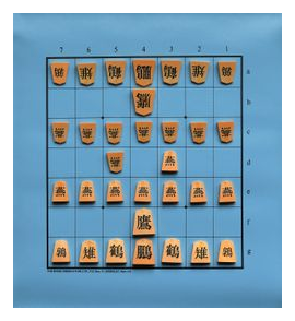 Tori Shogi box art