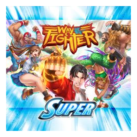 Way Of The Fighter: Super box art