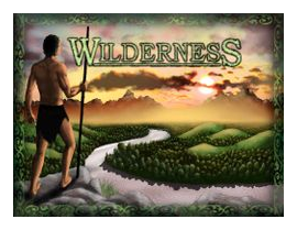 Wilderness box art