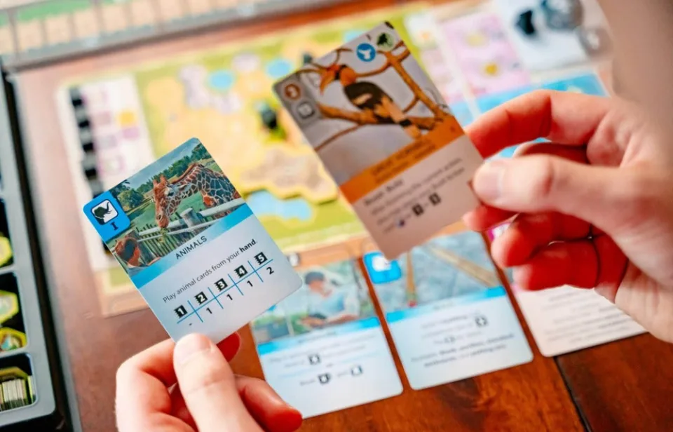 Five Ark Nova action cards held above a zoo map