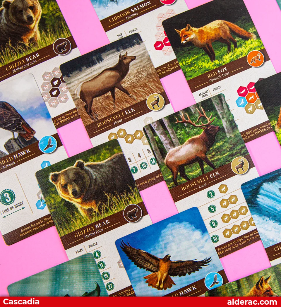 Cascadia wildlife scoring cards