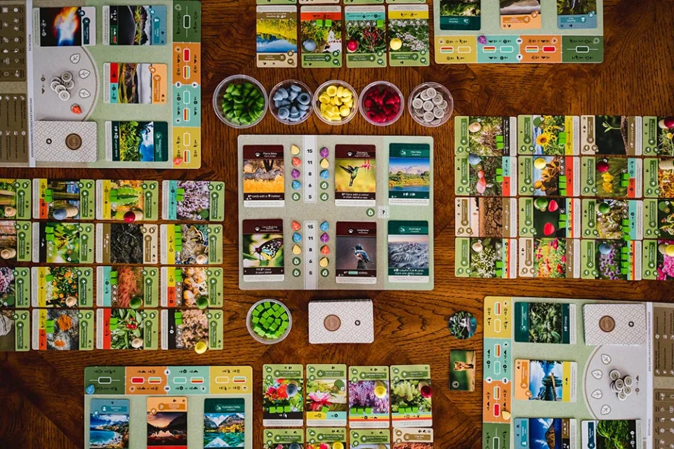 Close view of Earth card effects and developed ecosystem cards.