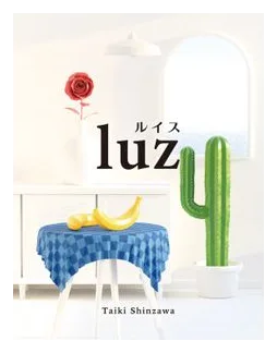 Luz box art