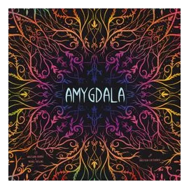 Amygdala box art