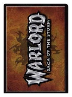 Warlord: Saga Of The Storm box art