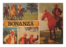 Bonanza box art