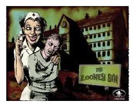 The Looney Bin box art