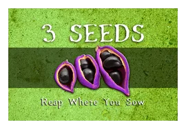 3 Seeds: Reap Where You Sow box art