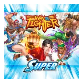 Way Of The Fighter: Super box art