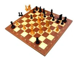 Chess box art