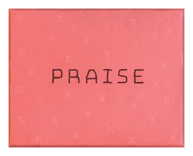 Praise box art