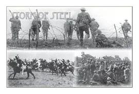 Storm Of Steel box art