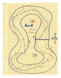 Racetrack box art