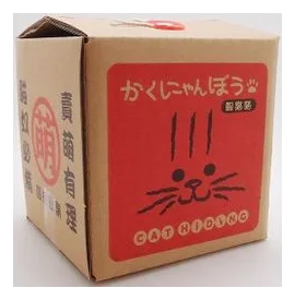 Cat Hiding box art