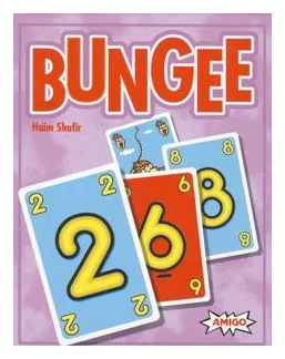 Bungee box art