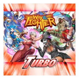 Way Of The Fighter: Turbo box art